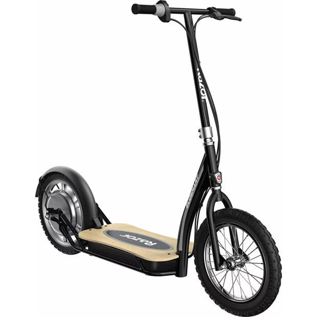 EcoSmart 36 Volt with Bamboo Deck image 0