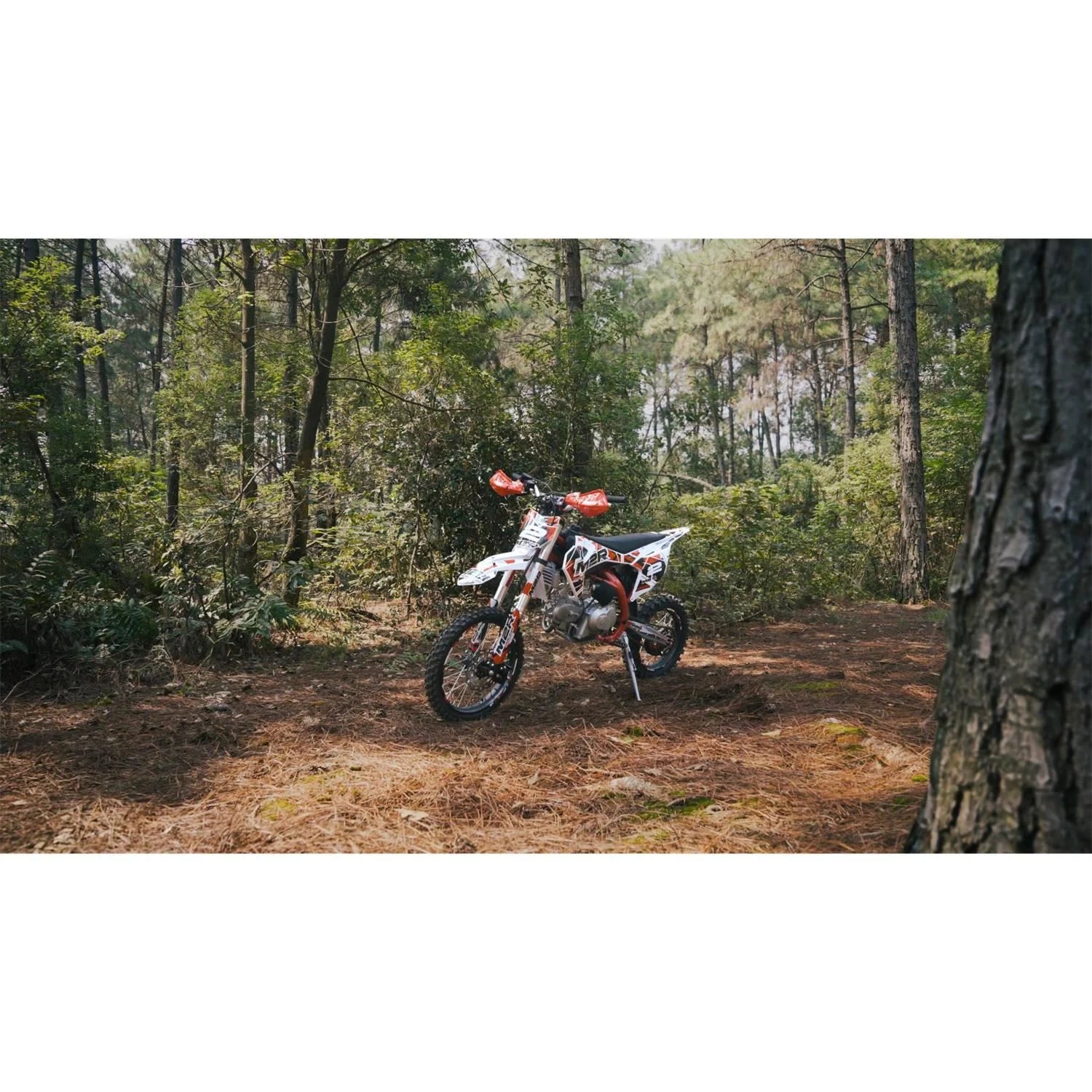 M2R RS-R 140 140cc 17/14 88cm Red/White Dirt Bike image 14
