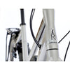 Captus - Mid Step - 2026 image 1